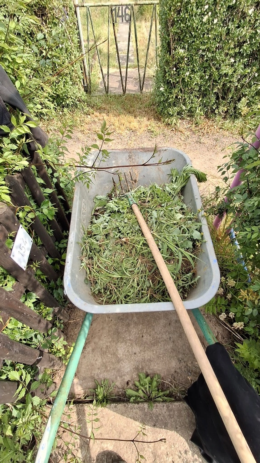 Ebert's Dienstleistungen & Feen GmbH - alltägliche Hausarbeit - Baumschnittabfälle